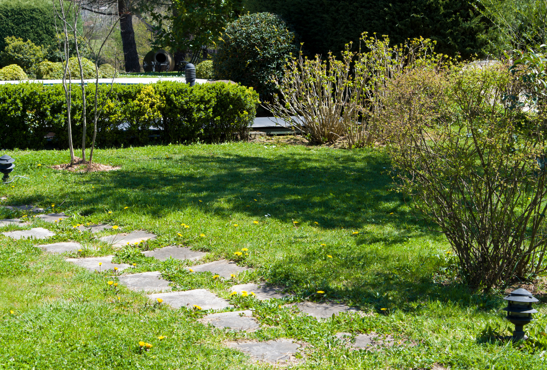 Prevención de plagas en jardines comunitarios de Móstoles: cómo mantenerlos protegidos todo el año